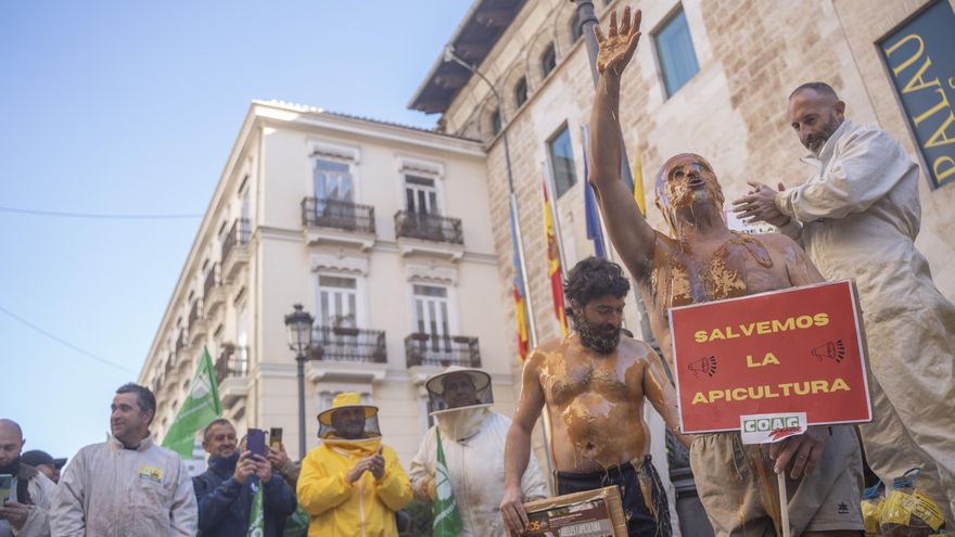 Varios apicultores con miel en el cuerpo durante una concentración de las organizaciones profesionales agrarias y entidades relacionadas con el sector apícola de la Comunitat Valenciana,