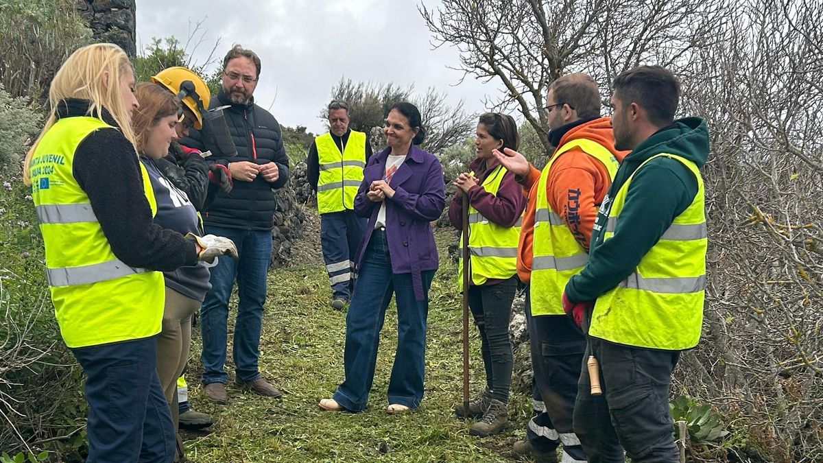 El Cabildo inicia un nuevo programa de Garantía Juvenil para incentivar el empleo entre los jóvenes.