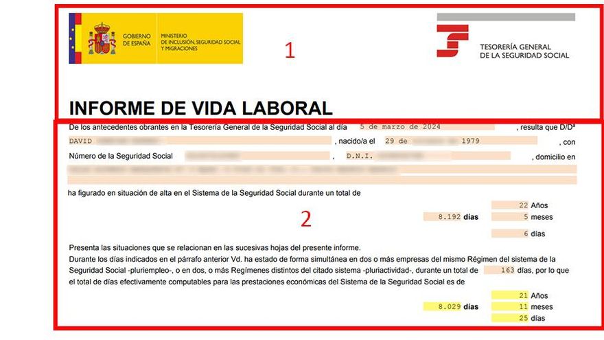 Cómo solicitar y entender tu informe de vida laboral de la Seguridad Social