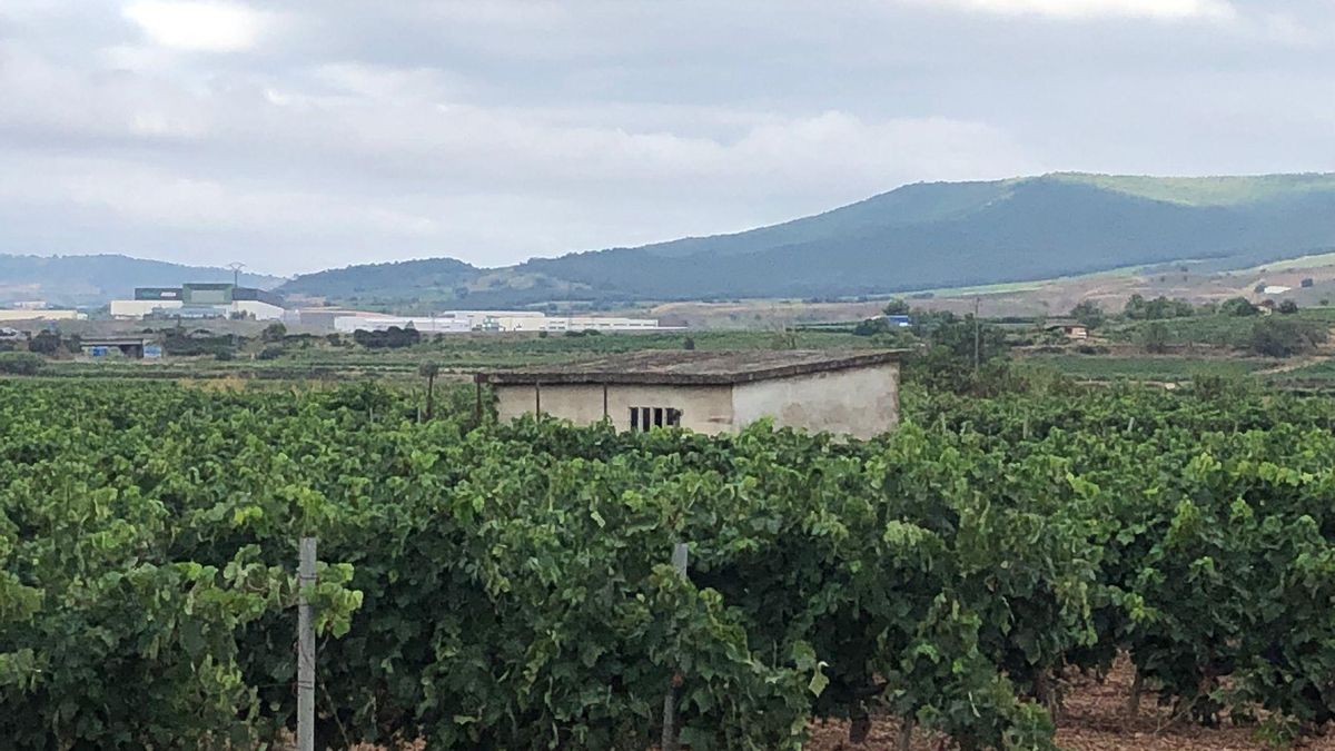 Ijalba censura que haya más requisitos para actividades vinculadas al sector agrario y ganadero en suelo rústico que para abrir una cafetería