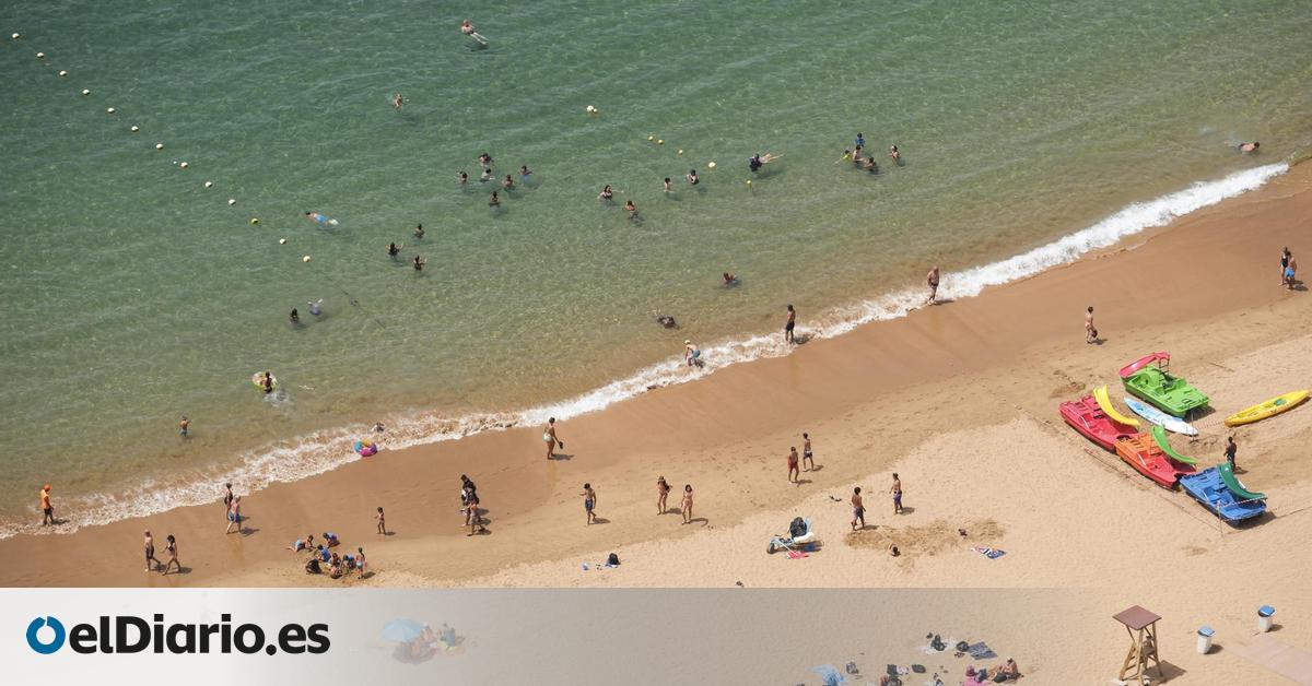 Two Canary Islands Beaches Rated Best in the European Union by a Travel Platform