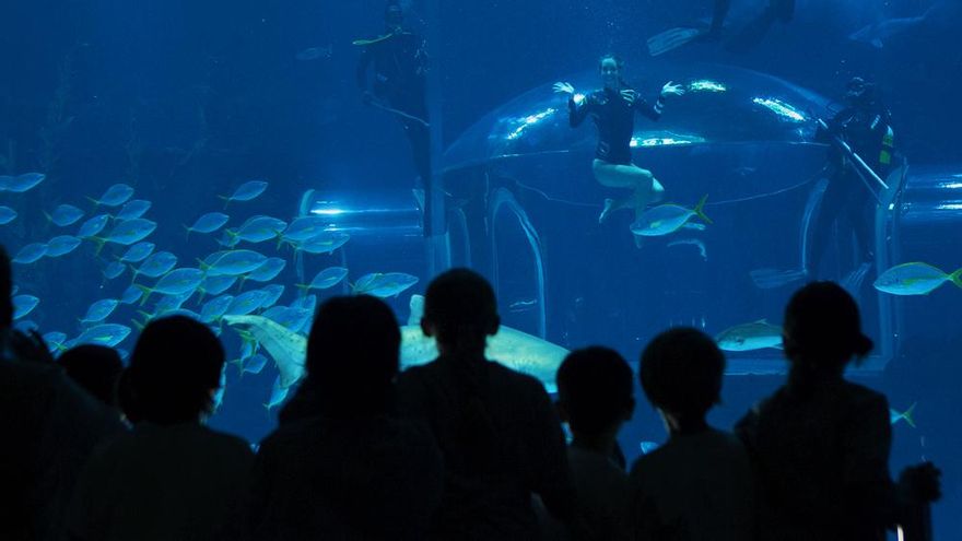 Ona Carbonell en el estreno de "MasterChef Junior"