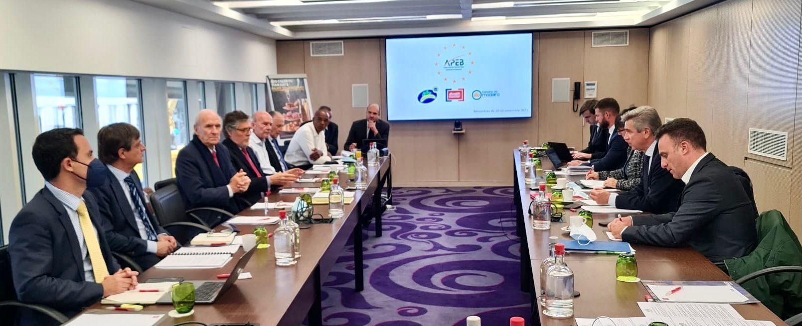 Reunión epresentantes de la Asociación de Organizaciones de Productores de Plátano de Canarias (Asprocan) con la Dirección General de Agricultura de la Unión Europea y miembros de la Dirección de Sostenibilidad y Apoyo a la Renta