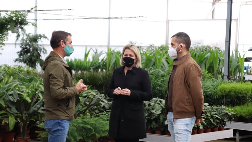 Imagen de archivo de Alicia Vanoostende a una empresa de flor cortada de Tenerife.