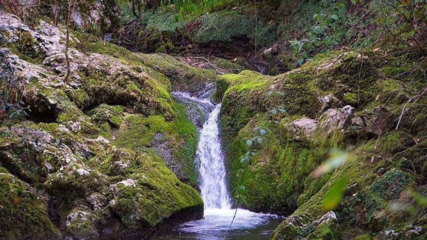 Entre desfiladeros, acantilados y ríos: tres rutas fáciles en Asturias para hacer una escapada de senderismo
