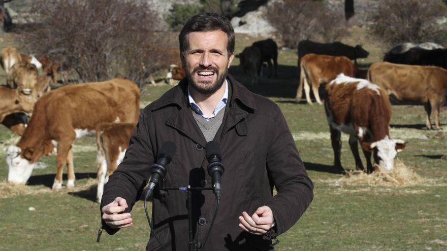 El presidente del PP, Pablo Casado, ofrece declaraciones a los medios, durante su visita a una explotación ganadera extensiva de vacuno en Navas del Marqués, a 14 de enero de 2022, en Navas del Marqués, Ávila, Castilla y León (España).