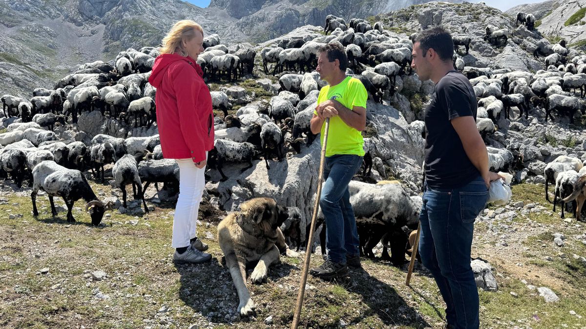 La consejera de Desarrollo Rural, María Jesús Susinos, durante una visita a Bejes.