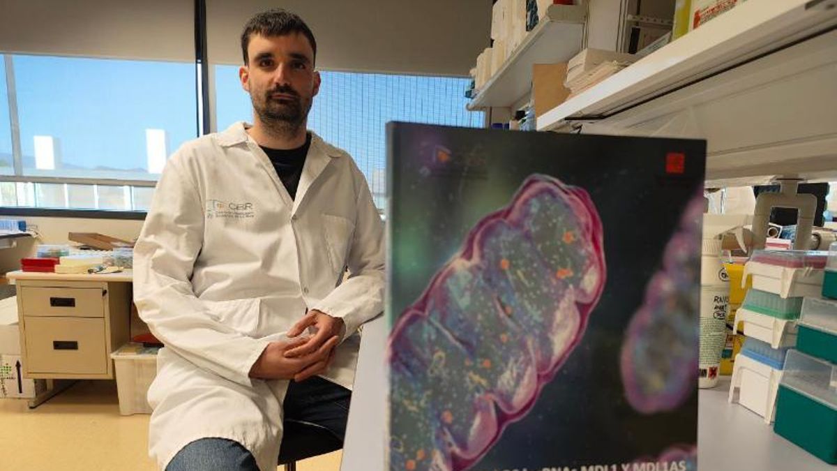 Pablo Garrido, investigador de la unidad de Angiogénesis del CIBIR