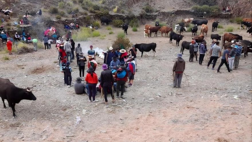 Argentina: proyecto de ley de Milei podría facilitar el desalojo de comunidades indígenas de tierras rurales