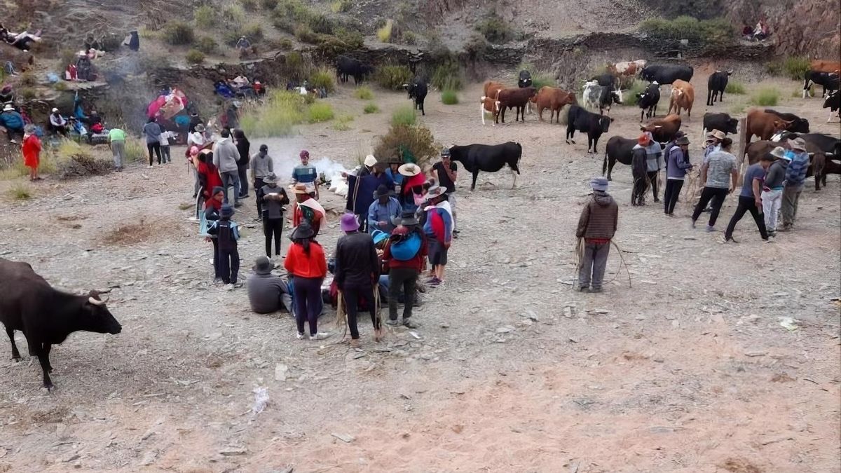 Argentina: proyecto de ley de Milei podría facilitar el desalojo de comunidades indígenas de tierras rurales