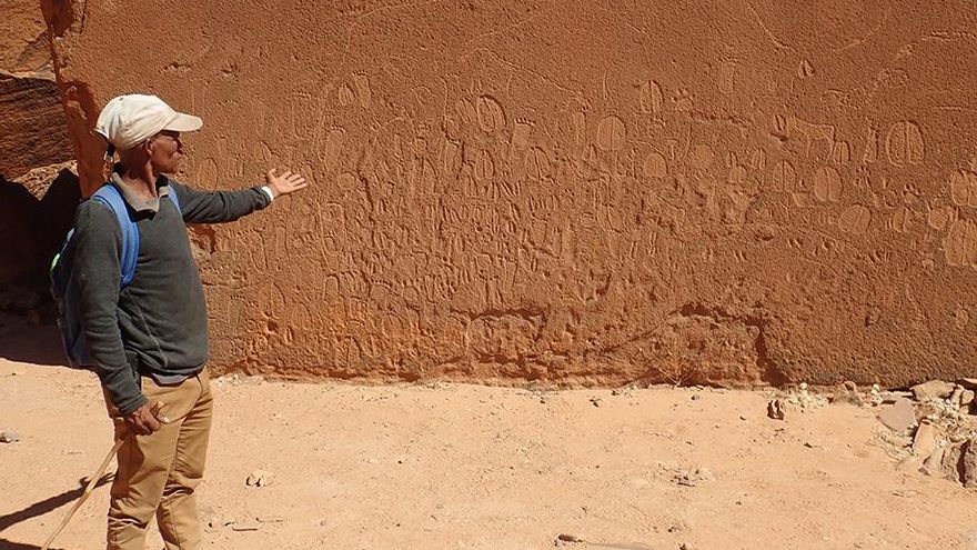 Imagen del gran panel de huellas de animales estudiado