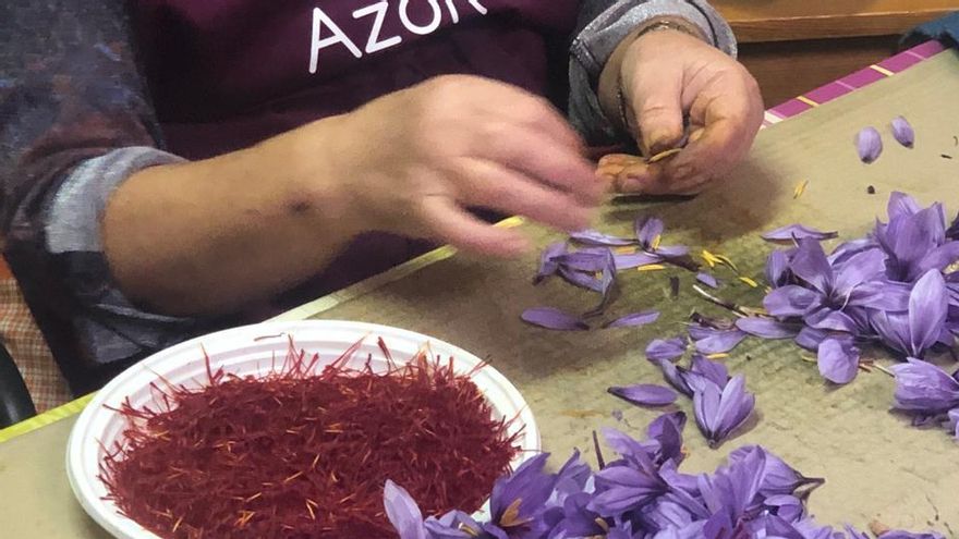 Esbriznado del azafrán