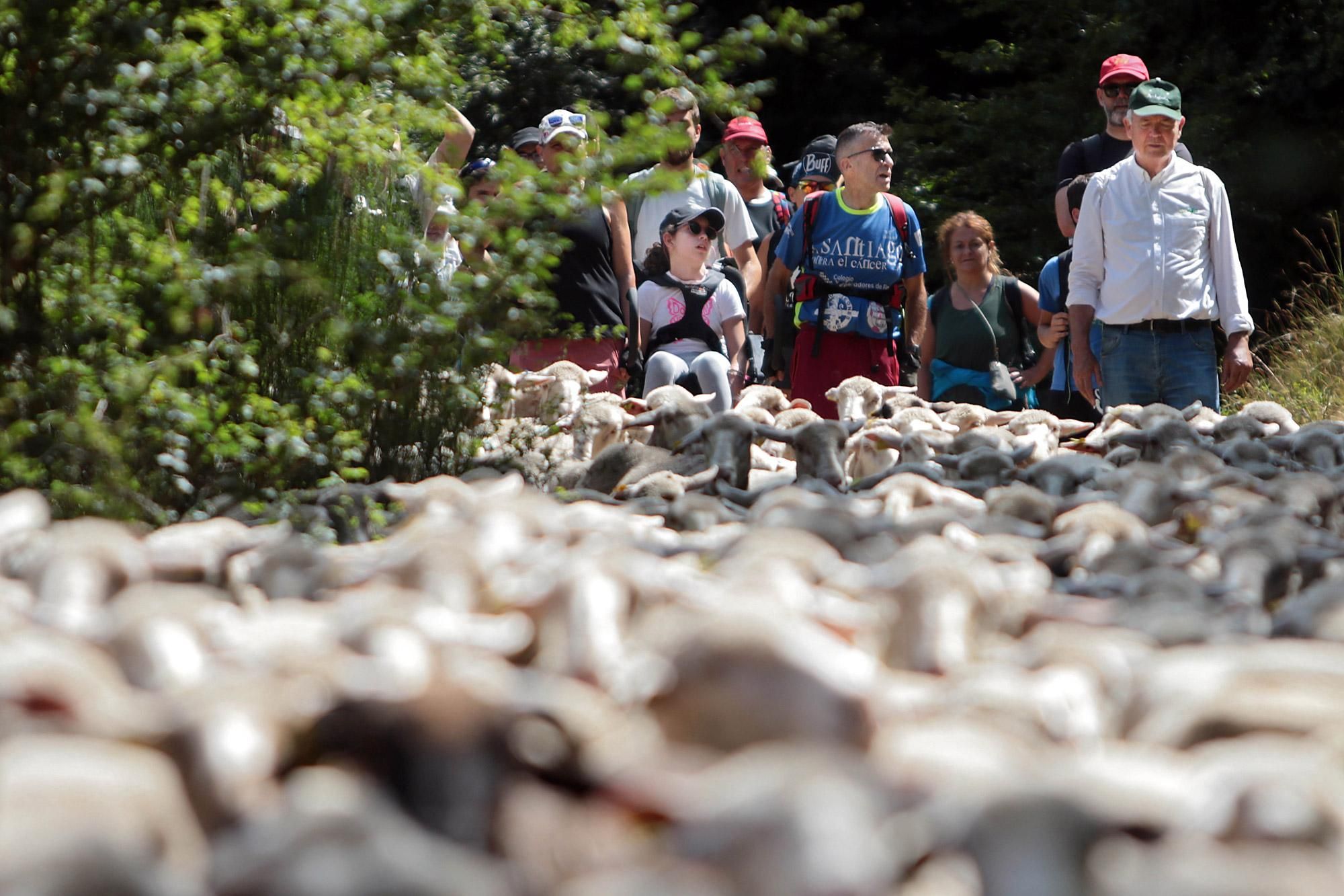 Un momento de la convivencia trashumante.