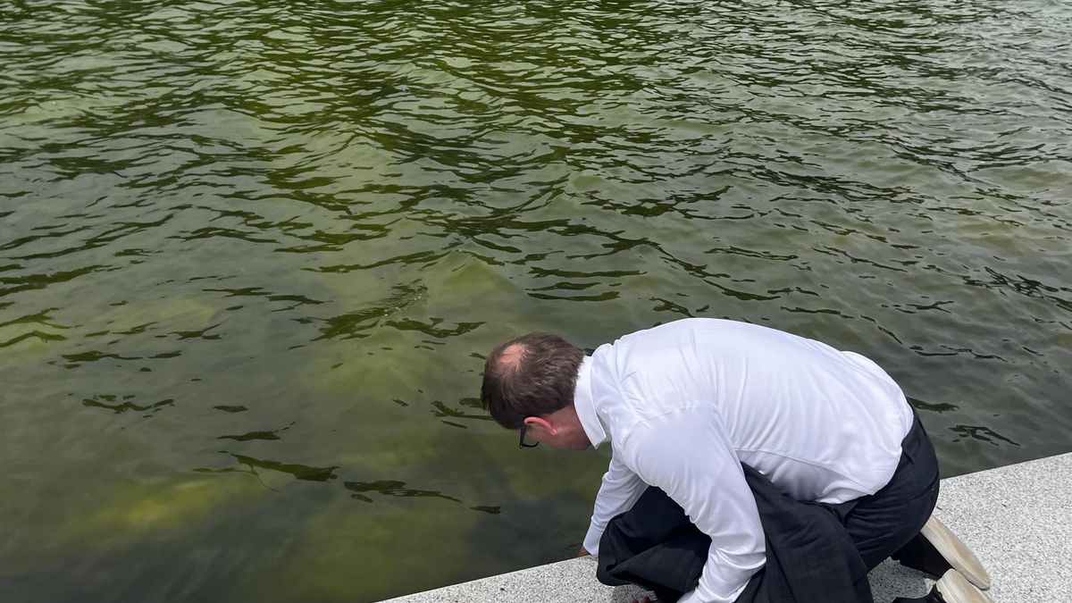 Un expiragüista olímpico, imputado por vandalizar la fallida reforma de Trump del estanque reflectante: "Los cargos son indignantes"