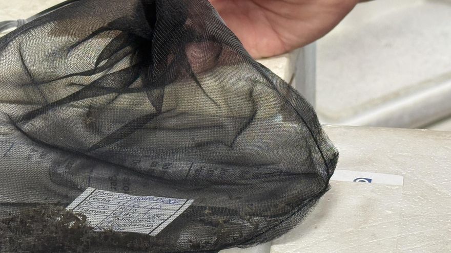 Segunda muerte por fiebre del Nilo en Andalucía tras fallecer un vecino de una pedanía de Utrera