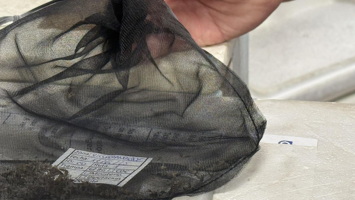 Segunda muerte por fiebre del Nilo en Andalucía tras fallecer un vecino de una pedanía de Utrera