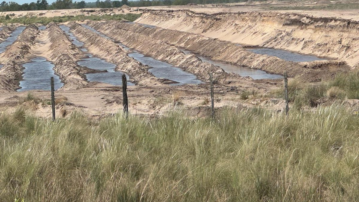 La extracción sin control de arena está impactando profundamente la estructura y funcionamiento de los ecosistemas de dunas en el Delta del Paraná. Foto: cortesía Wetlands International