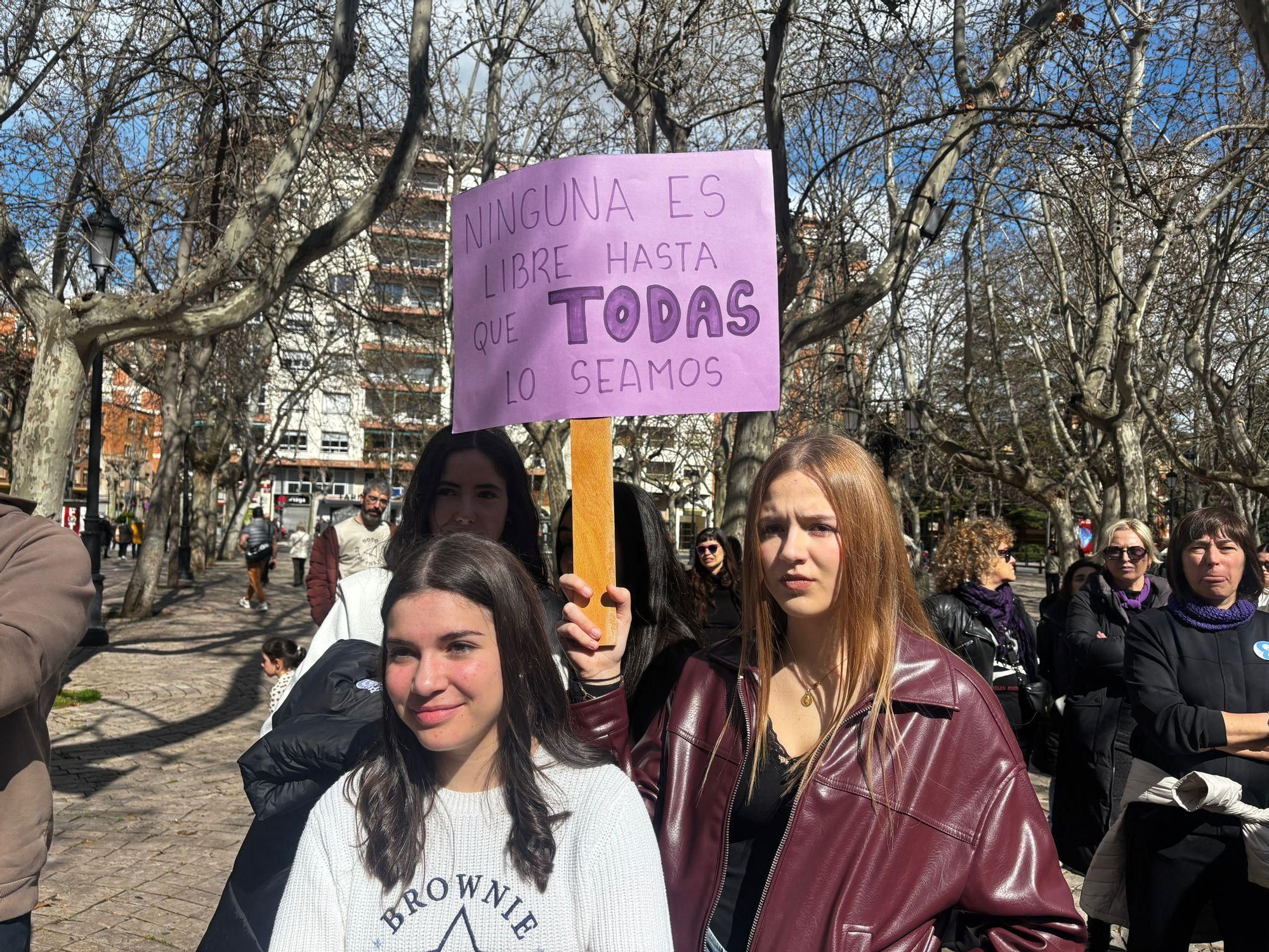 La manifestación de 8M en Logroño, en imágenes