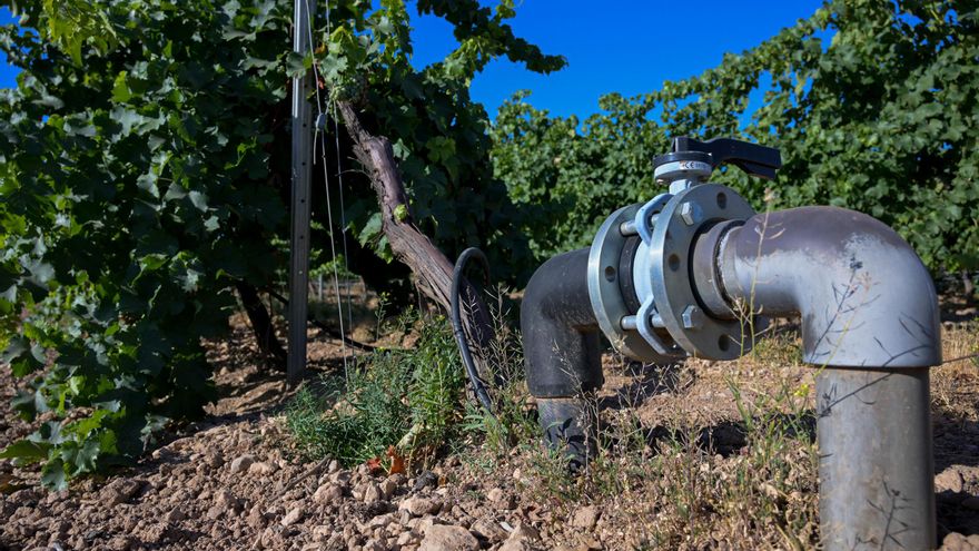 Robos en el campo: “Los grupos electrógenos y el material de riego son el principal objetivo de los ladrones”