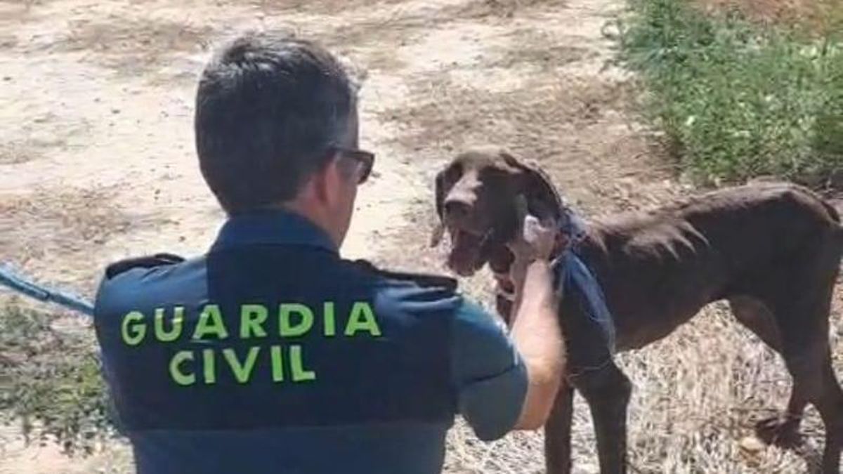 Agente con el perro tras sacarlo de la balsa