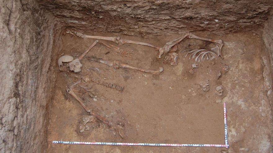 Cuerpos aparecidos en la fosa 36 del cementerio de Alicante.