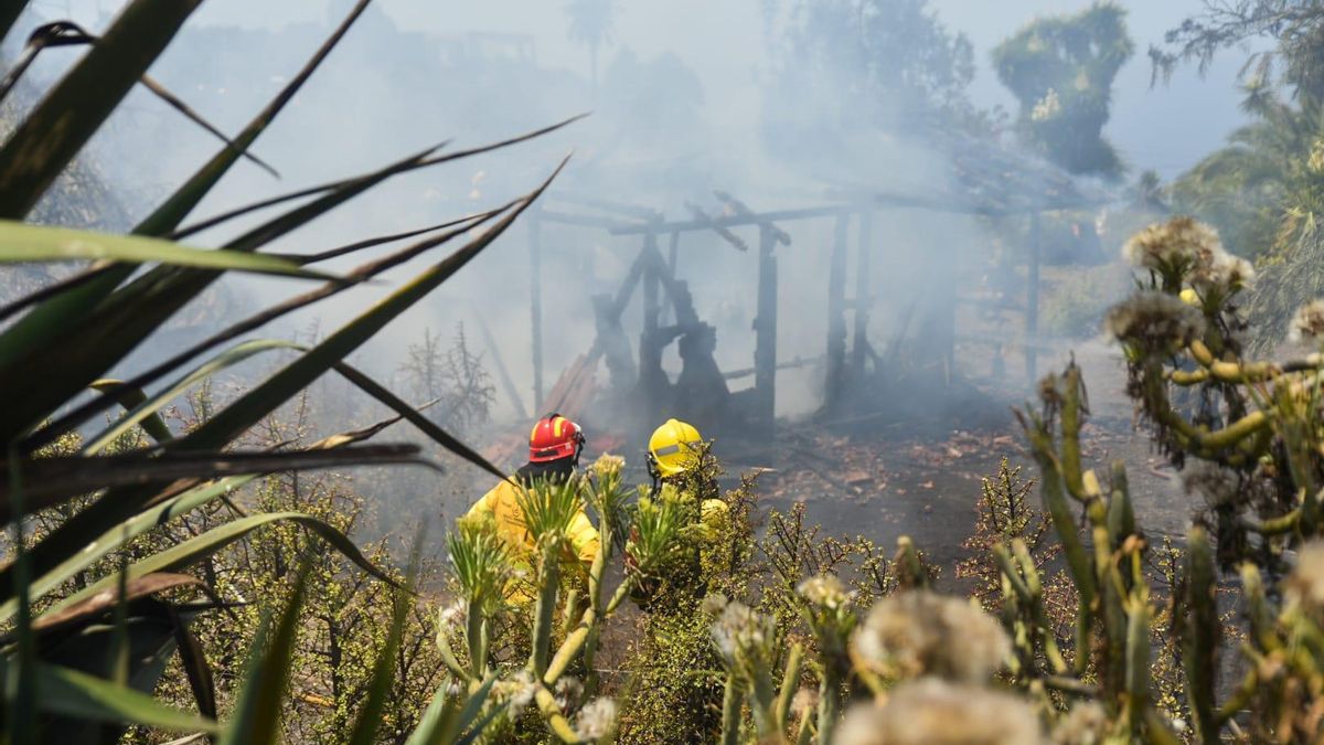 Efectivos de los equipos  de extinción actuando en la zona  del  conato de  incendio registrado en  este jueves en la Manchas de Abajo del municipio de Los Llanos de Aridane.