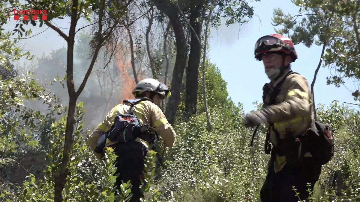 Los Bomberos de la Generalitat tratan de impedir el avance del incendio en Tiana