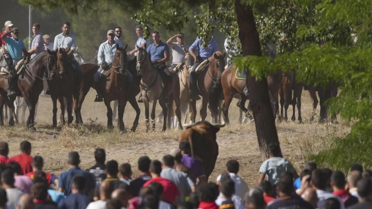El Ayuntamiento de Tordesillas investiga la ausencia de policiales locales durante sus fiestas y el Toro de la Vega