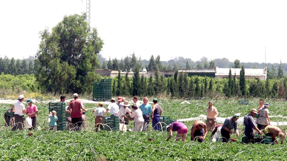 La afiliación de extranjeros a la Seguridad Social marca un nuevo récord de 3,1 millones de cotizantes