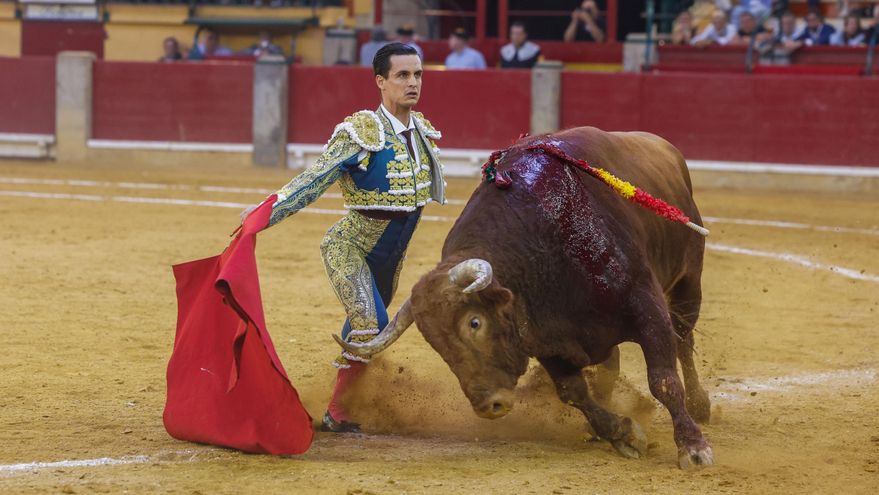 La Fundación Franz Weber denuncia ante la Oficina de Infancia las promociones taurinas dirigidas a menores en Palma