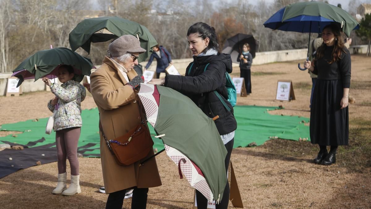 AAVV Axerquía y Regina-Magdalena realizan la actividad 'Aquí falta un árbol' en el Parque de Miraflores