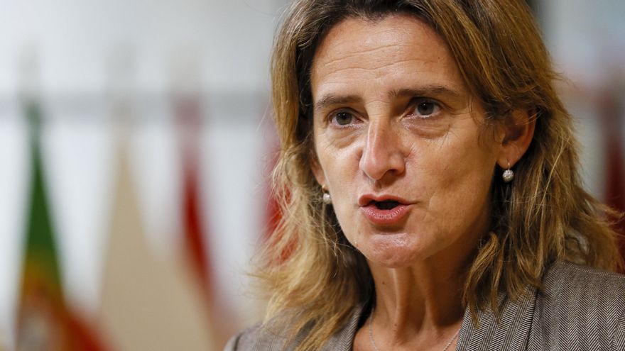 La ministra de Medio Ambiente, Teresa Ribera, en una imagen de archivo. EFE/EPA/JULIEN WARNAND