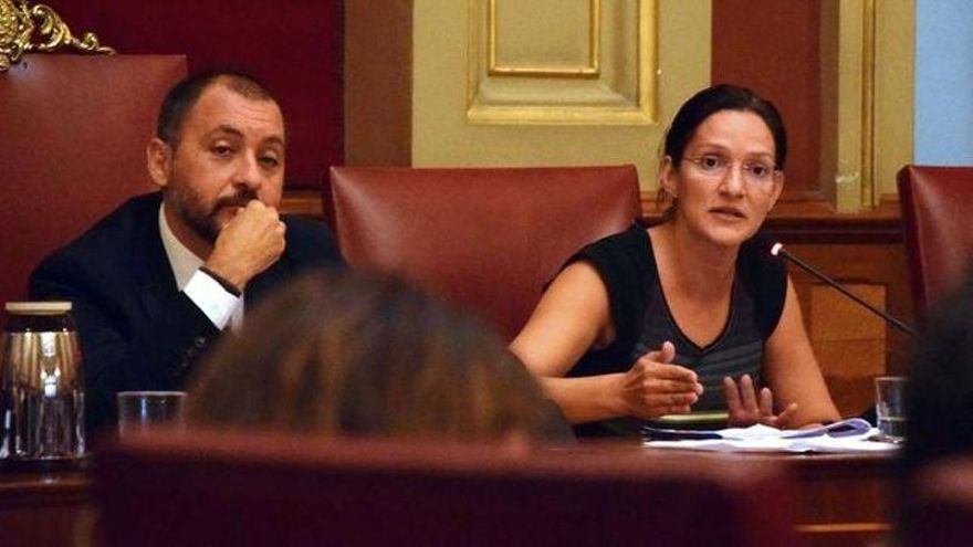 La concejala Zaida González, en un pleno de Santa Cruz