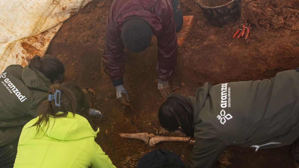 Hallan en una fosa común de Soria los restos de dos fusilados en 1936