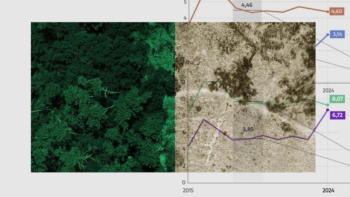 Deforestación