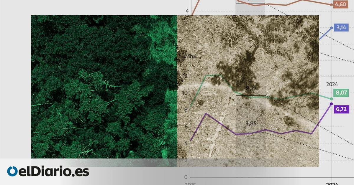 La destrucción de selva virgen en el mundo casi se dobla en un año