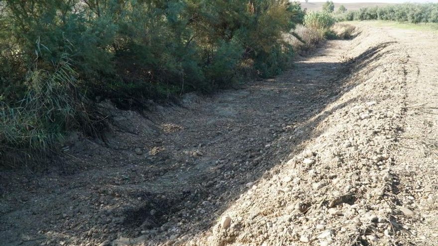 El desbroce de cuatro kilómetros de un arroyo carece de autorización de Medio Ambiente