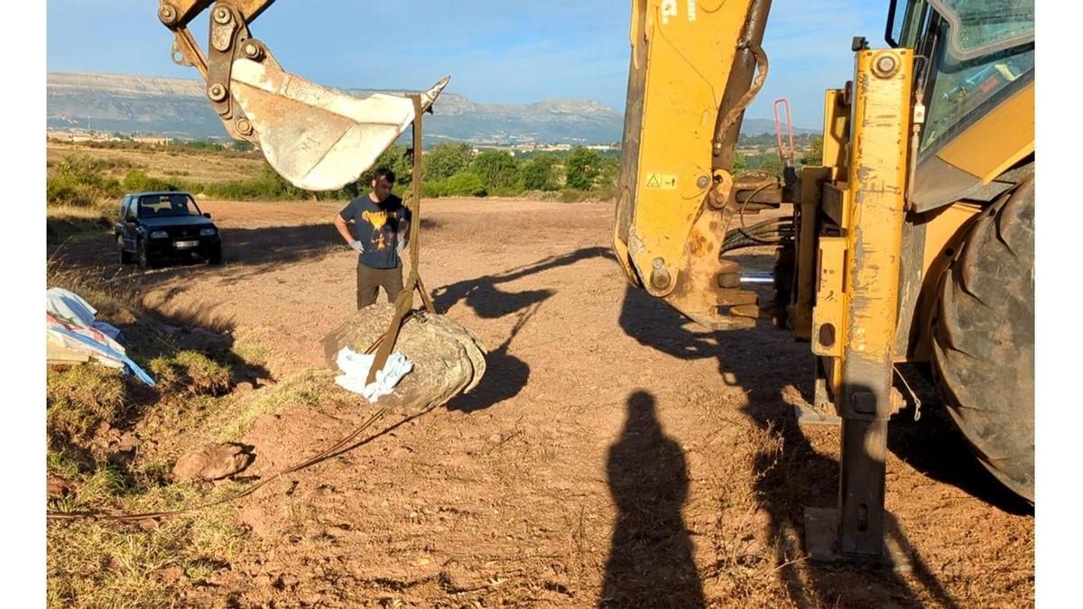 Arqueólogos descubren una huella fósil de un dinosaurio gigante de 125 millones de años en Burgos