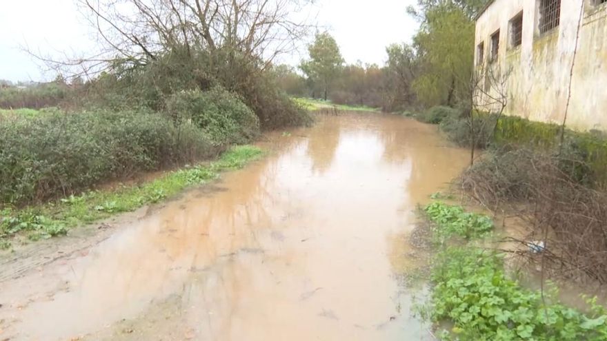 Situación de Badajoz tras el paso del temporal.