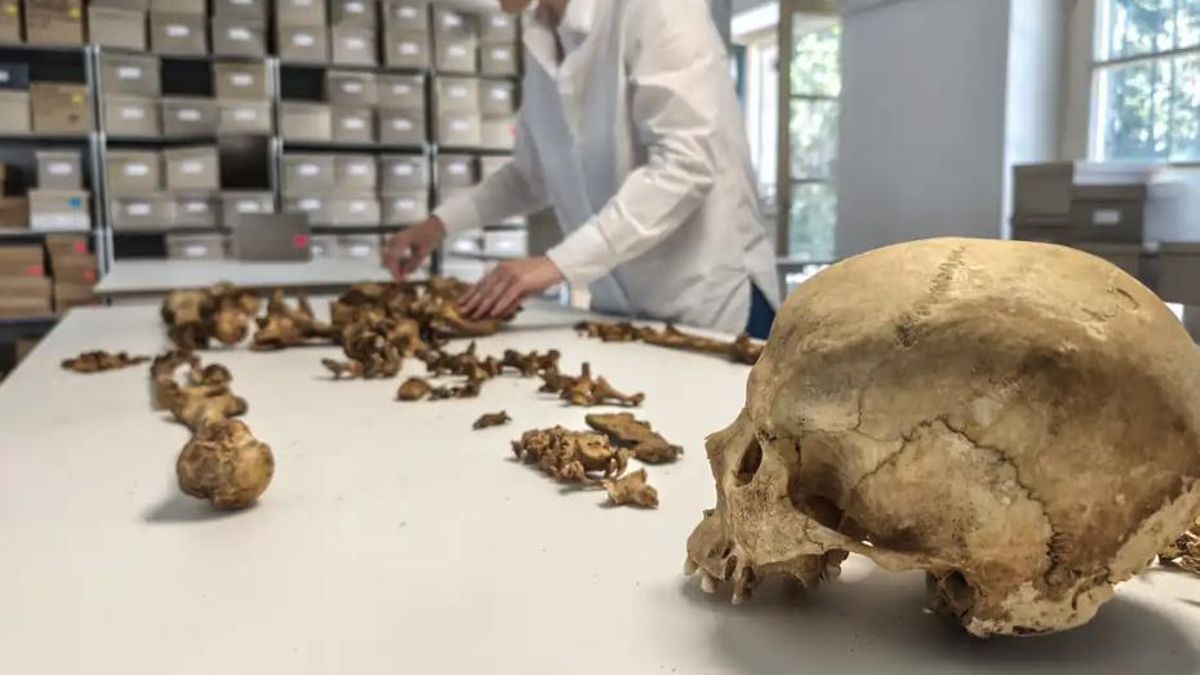 Steffen Patzold negó pueblos germánicos en bloque