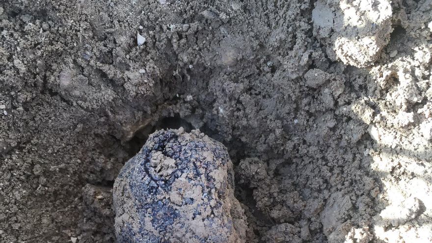 Un centro de investigación de la trufa y potenciar su cultivo, nueva propuesta para luchar contra la despoblación en la región