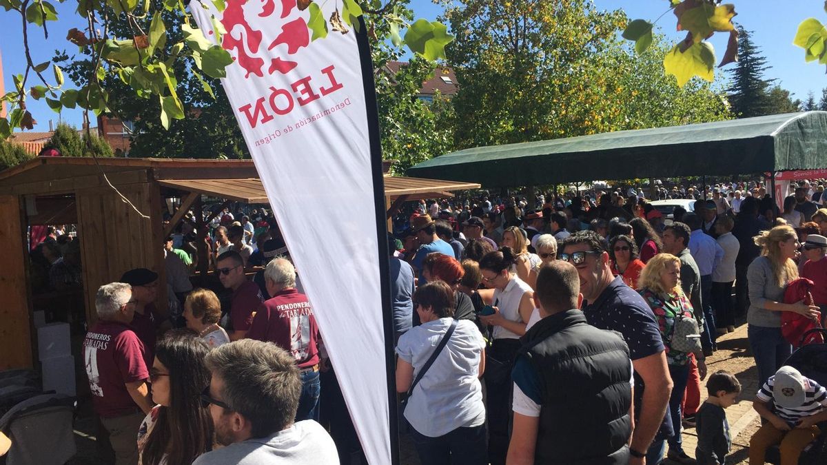 Feria del vino DO León.