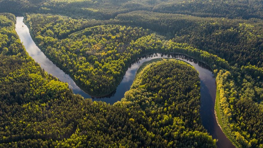Acabar con la deforestación en la Amazonia es sólo el primer paso para impedir su colapso