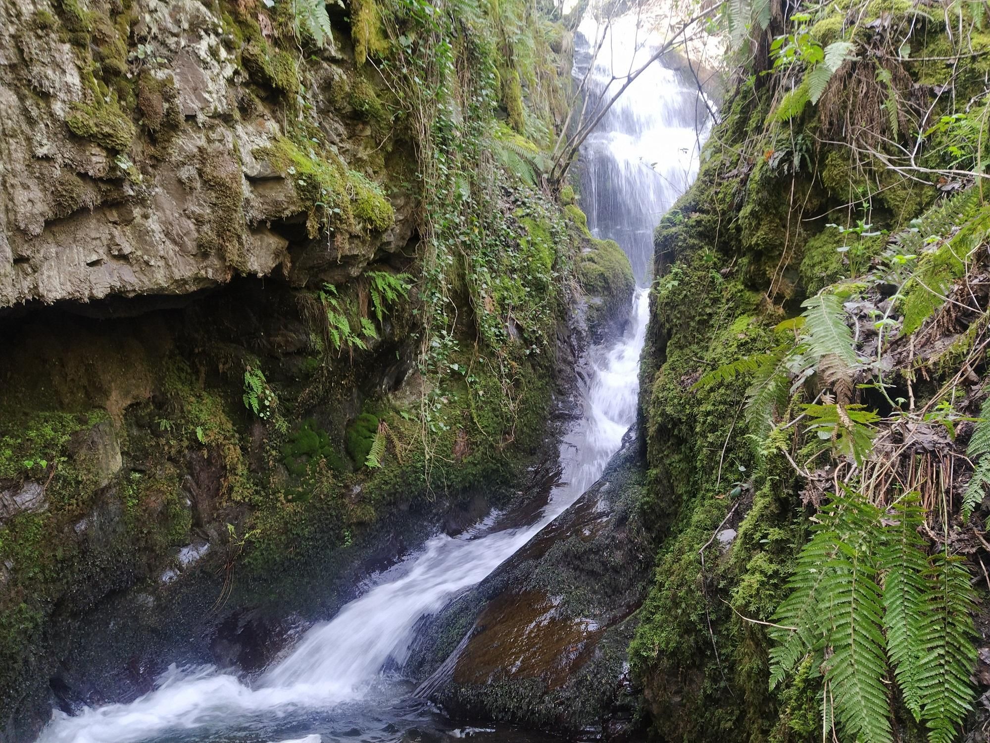 Gualtón de Palacios.