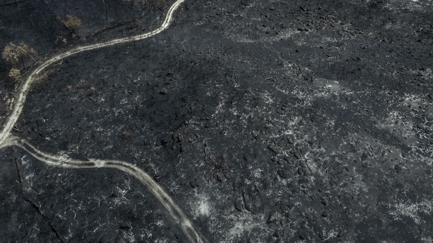 Bruselas llama a invertir más y mejor en prevención tras los incendios de este verano