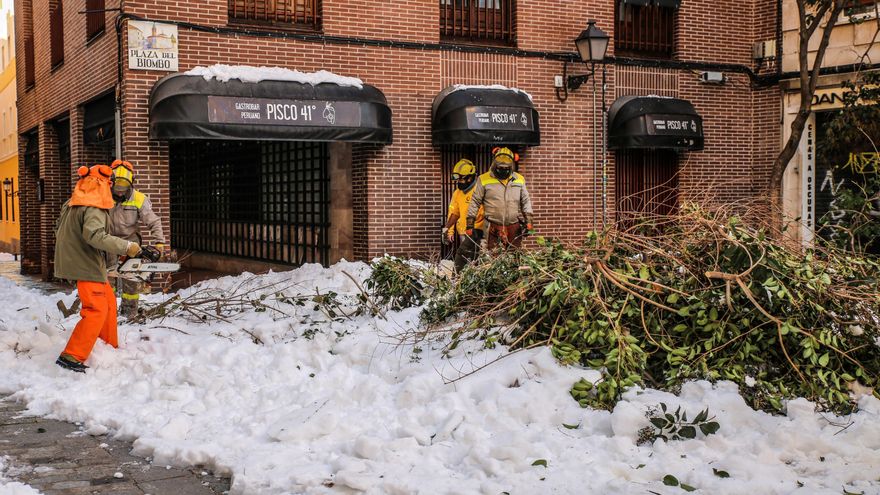 Operarios municipales retiran ramas de árboles caídas tras el paso del temporal, este martes en Madrid. EFE/Dani Caballo