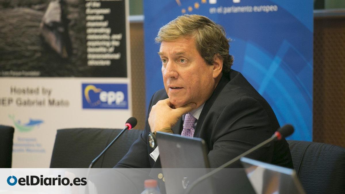 El Partido Popular considera que la actualización de los derechos de los pasajeros beneficiará a Canarias