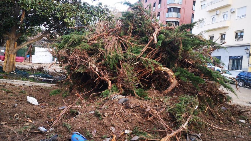 Propuestas para "salvar" el parque de la Cornisa de Madrid: paralizar la tala, replantar y más diálogo con los vecinos