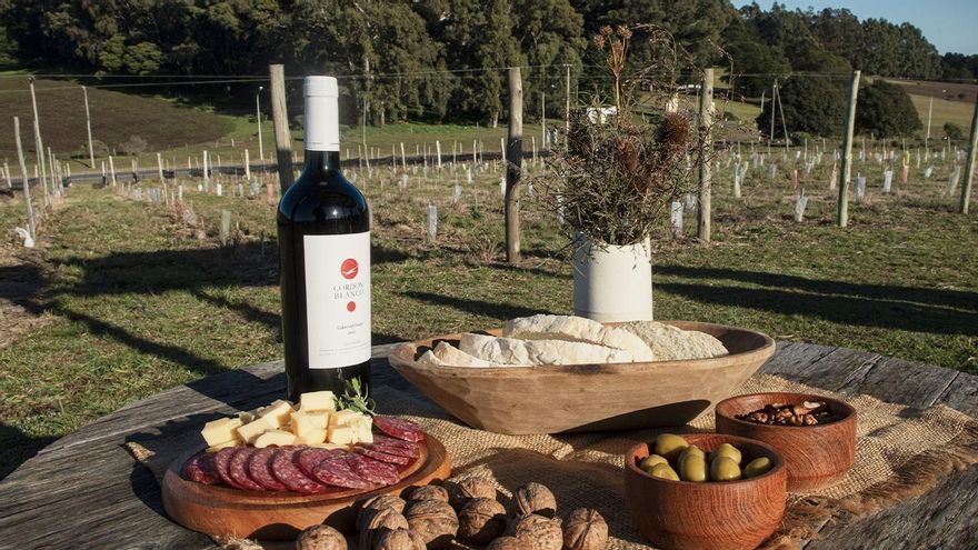 La Bodega Cordón Blanco en Tandil
