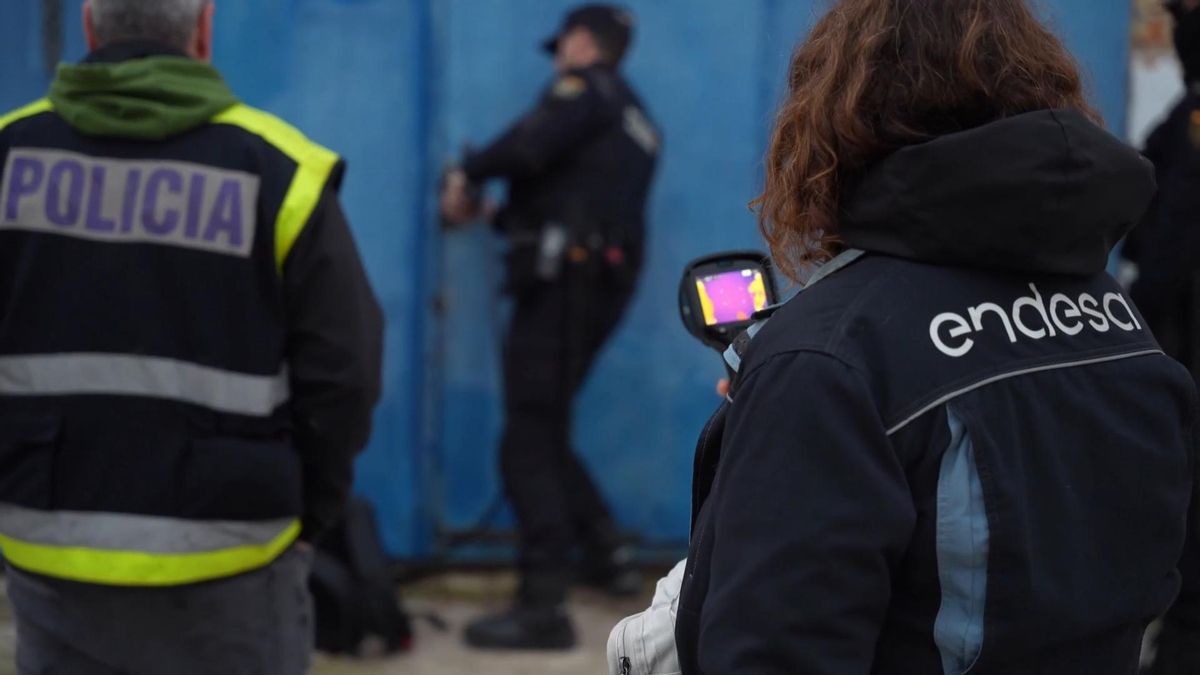 Intervención de Endesa en un fraude eléctrico vinculado a la marihuana.